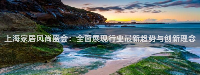 安信安翼 12账号