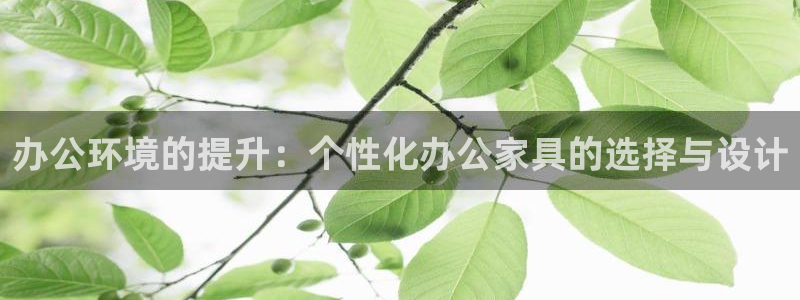 安信地板12mm