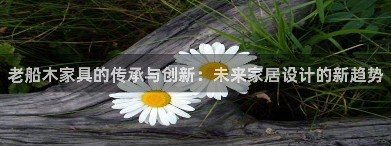 安信12位数资金号