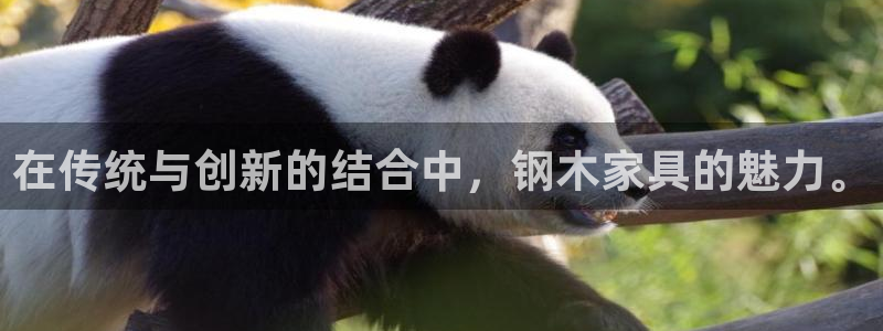 安信12娱乐开户