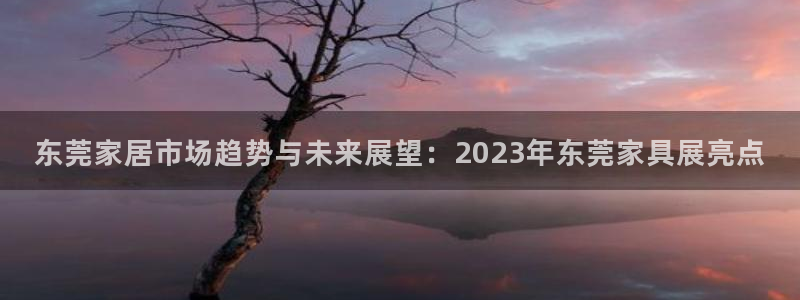 安信12软件介绍