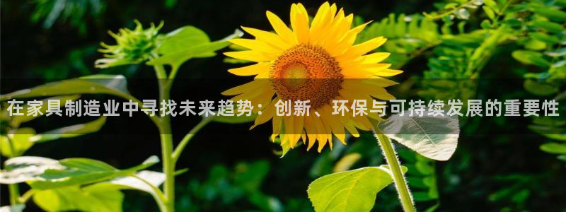 安信12真假