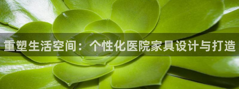 安信可 esp-12
