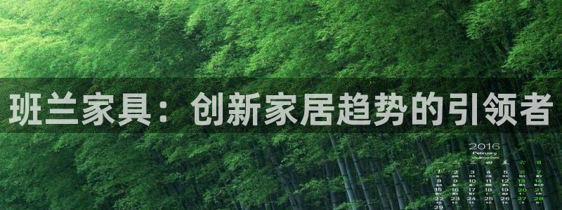 安信卓越12月