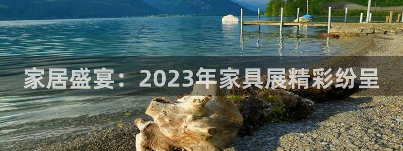 安信12负责人