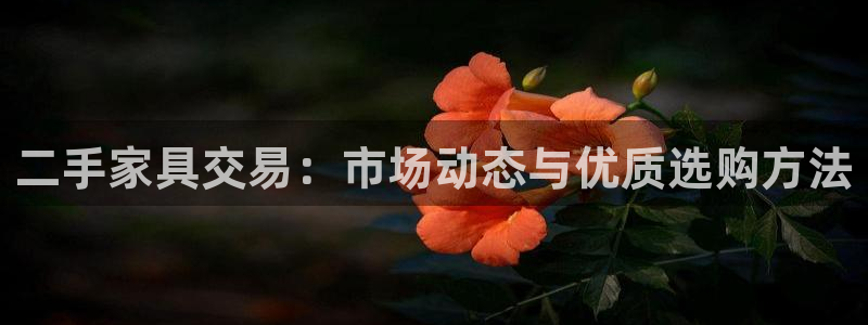 安信12平台的网址