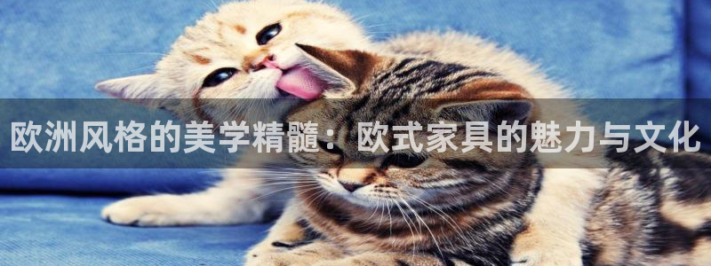 安信安盈12最新消息