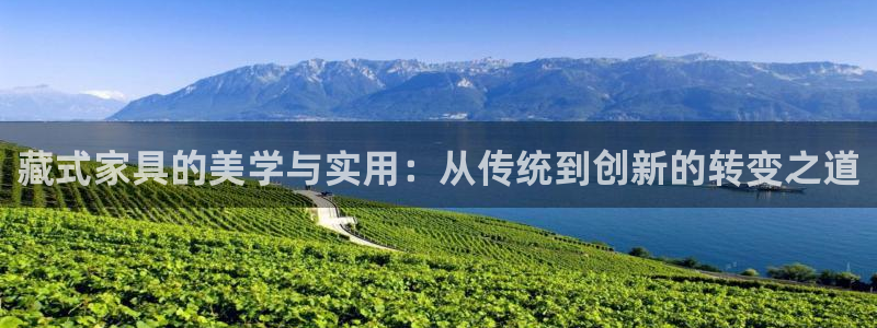 安信12是什么