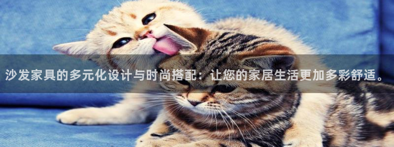安信12