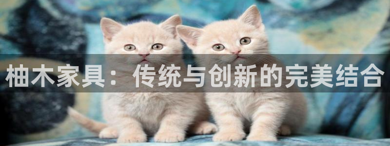 安信可12e12f