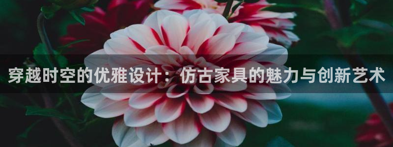 安信12如何开代理