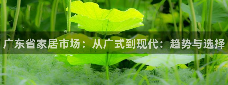 安信12周年