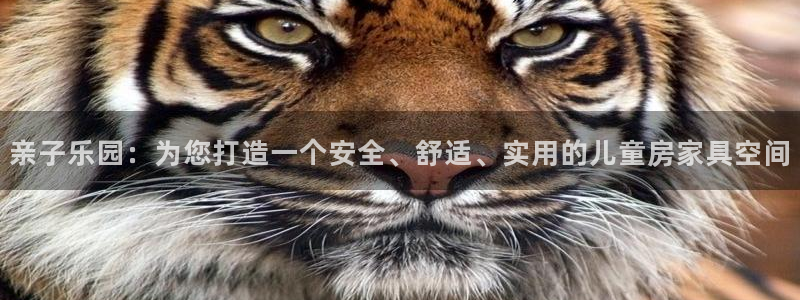 安信可esp-12