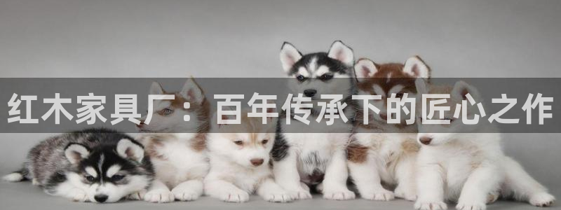安信12官网qq