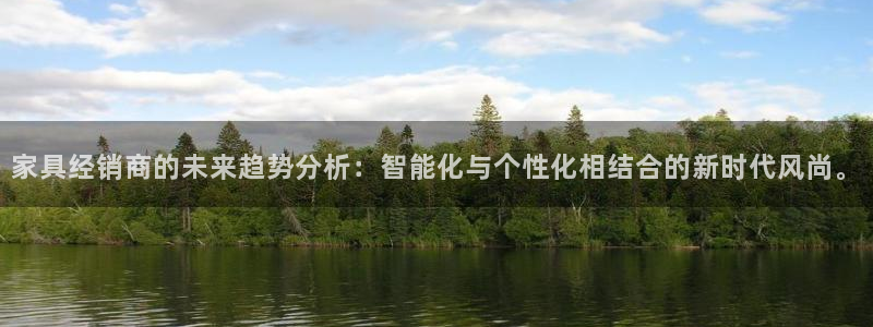 安信证券手机壳12