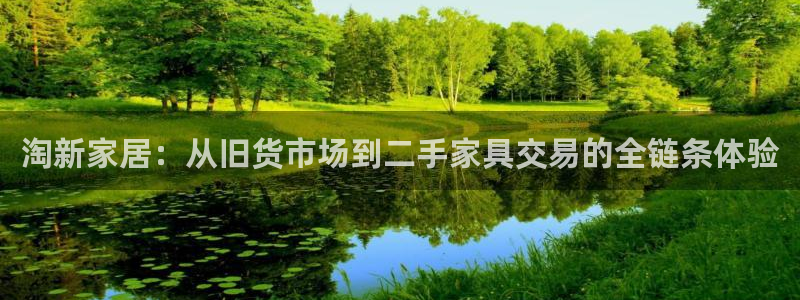 安信12专用挂机