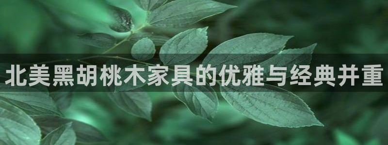 安信12平台介绍