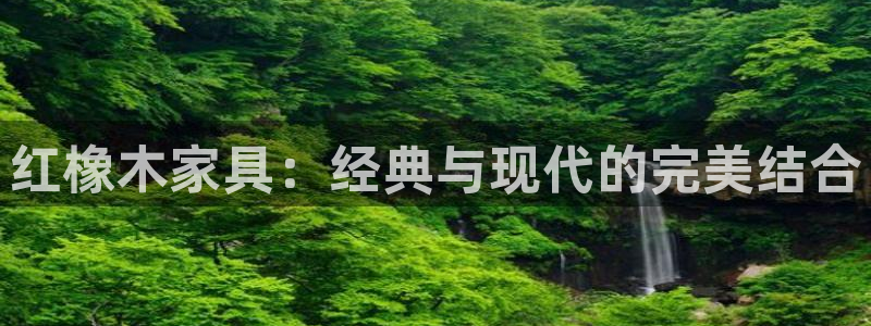 安立信T12测评