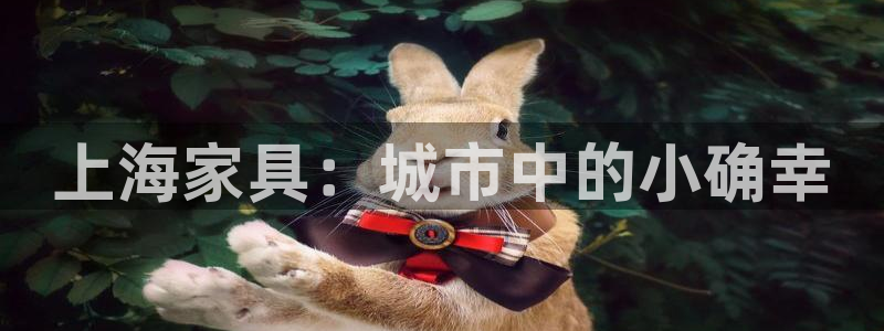 安信12主管
