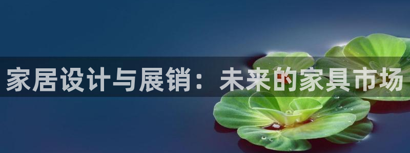 安信12级