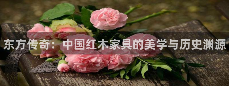 安信证券手机壳12