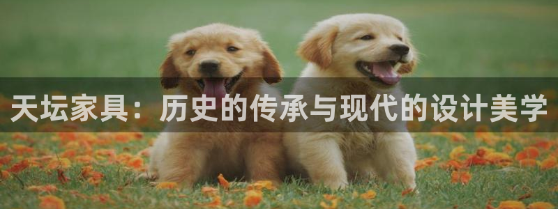 安信12官网