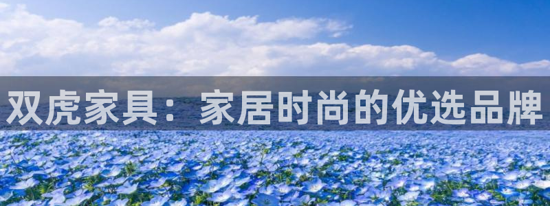 安信12位资金账号
