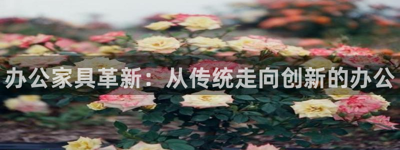 安信12周年庆典