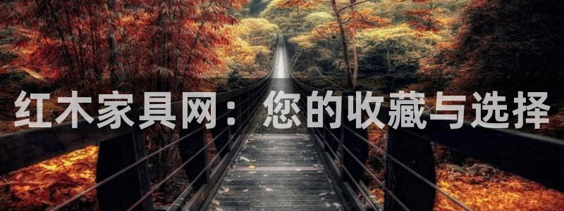 安信12是什么软件