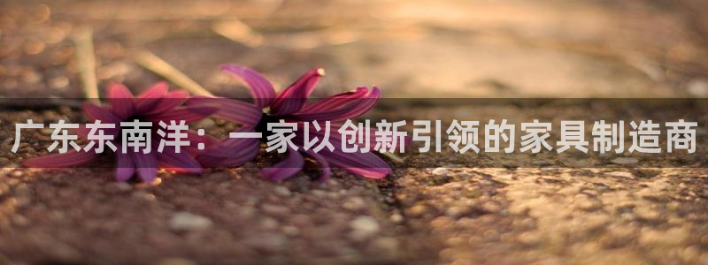 安信12是正规还是仿