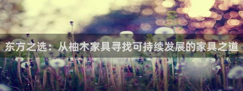 安信12代理