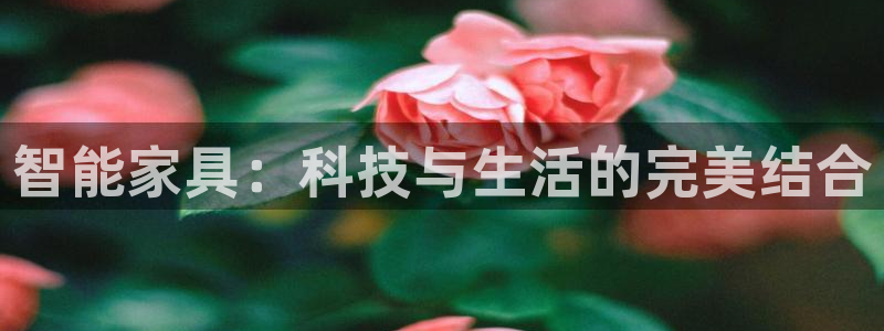 安信12专用挂机