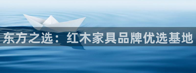 安信卓越12月
