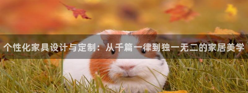 安信地板12mm：个性化家具设计与定制：从千篇一律到独一无二