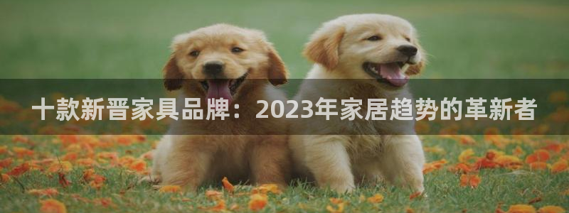 安信卓越12月：十款新晋家具品牌：2023年家居趋势的革新者