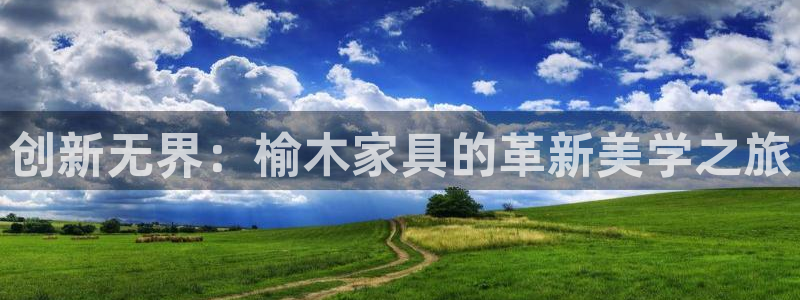 安信12包赔