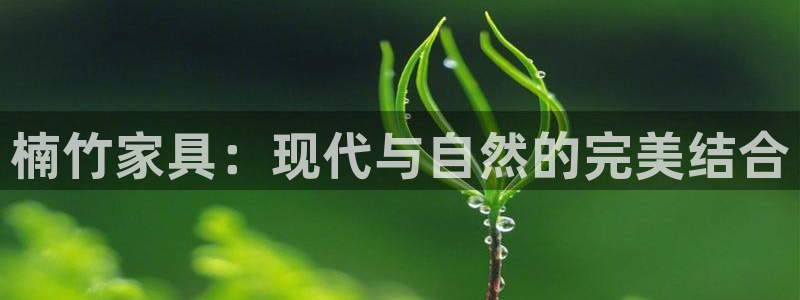 安信12平台介绍