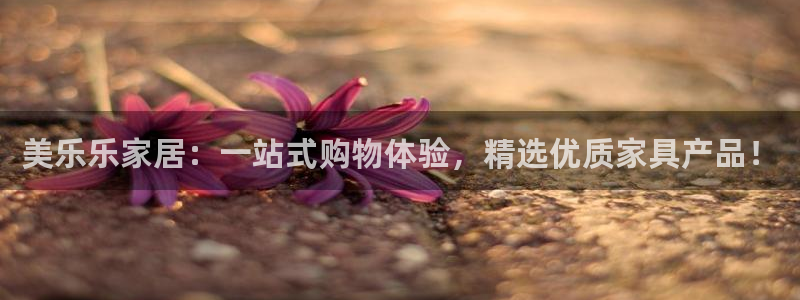 安信可12e12f