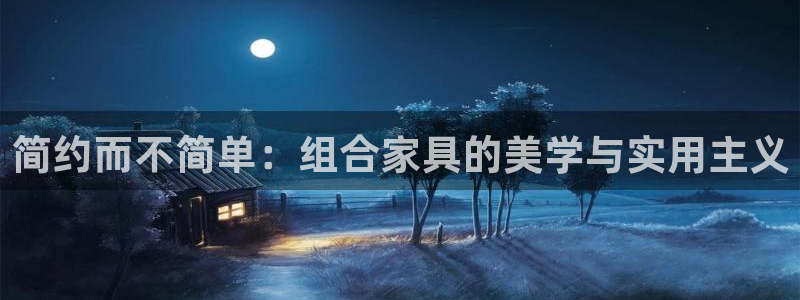安信312 12