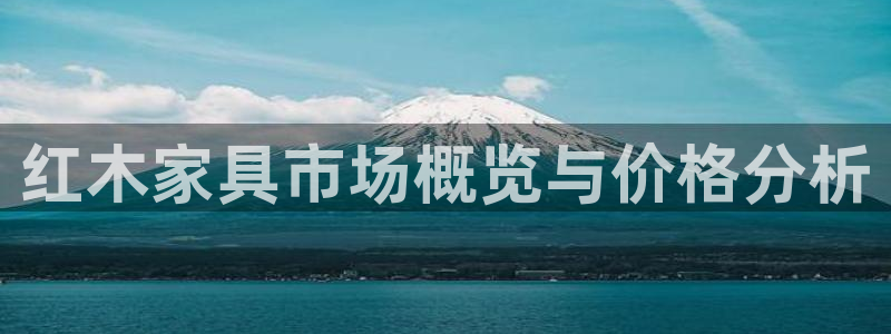 安信12是啥