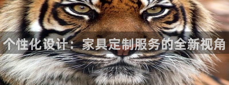 安立信T12测评