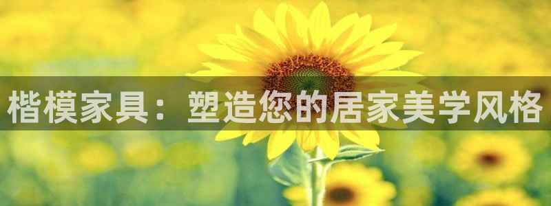 安立信12改装