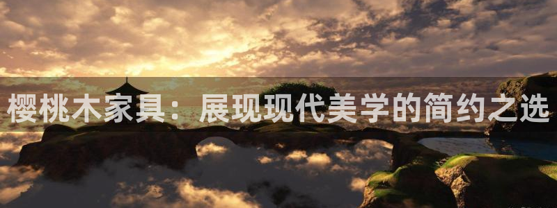 安信12是啥