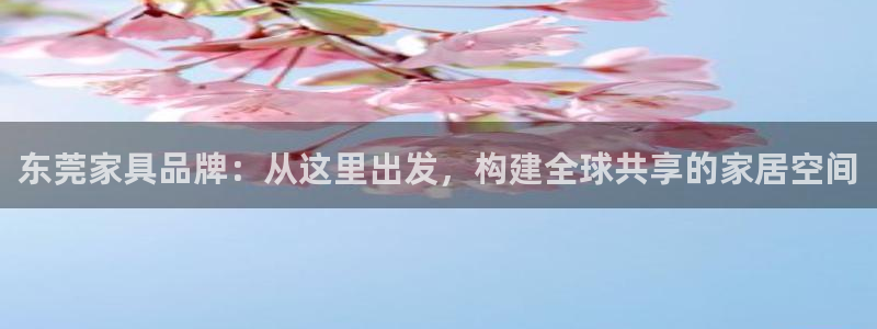 安信12是啥