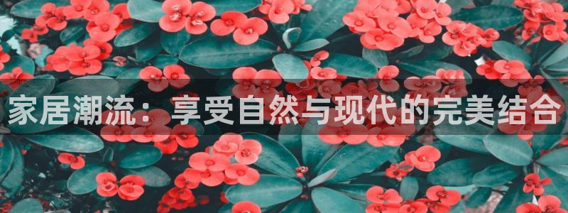 安信12是正规平台吗