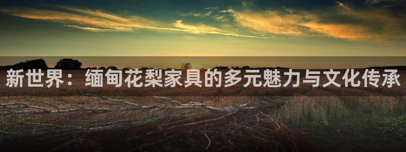 安信12赛车