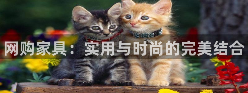 安信12彩票app下载