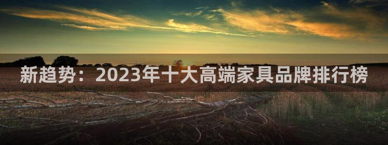 安立信T12测评