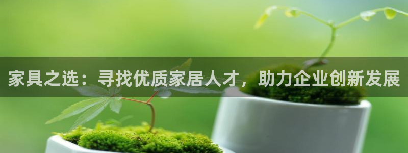 安信卓越12月
