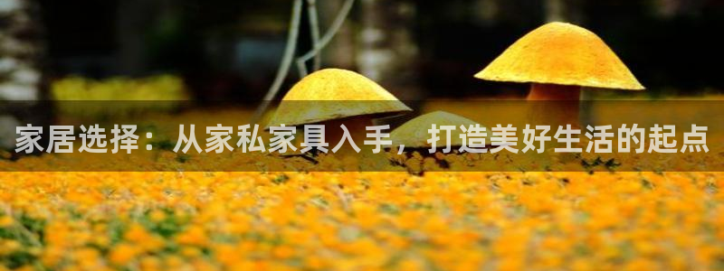 安信12级